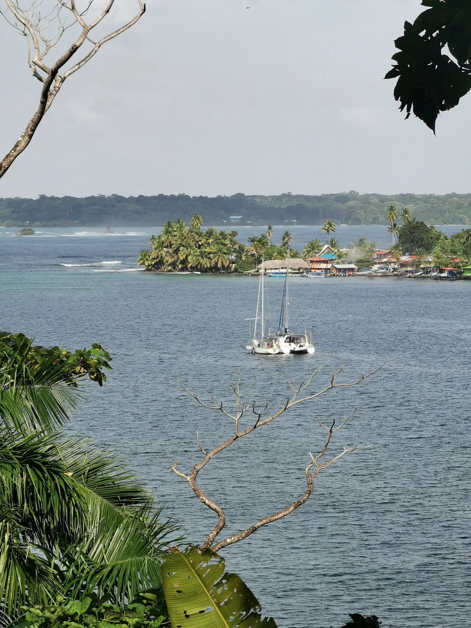 Velero en una bahía de Bocas del Toro, rodeada de vegetación y palmeras